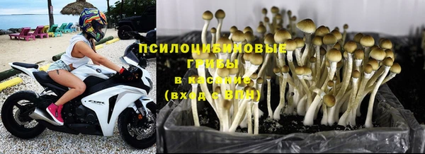 соль курить ск Алексин