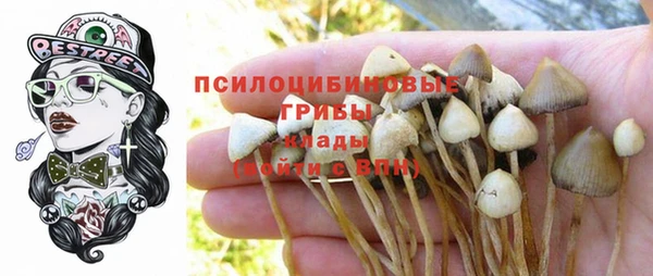 соль курить ск Алексин
