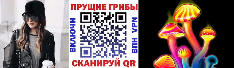 где продают наркотики  Невьянск  Псилоцибиновые грибы Cubensis 